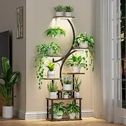 Plant Stand Indoor with Grow Lights - 62" Tall Plant Shelf, Lighted Corner Plant Stands for Indoor Growing, 8 Tiered Large Flower Holder, S-Shaped Decorative Rack for Living Room, Black, Patent Design