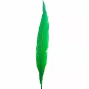 6" to 10" Silver Pheasant Tail Feather - Green