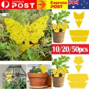 Up to 50pcs Dual Sided Strong Sticky Trap Insect Killer Fruit Fly Trap Gnat Au