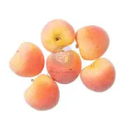Peach Tea By Frank Garcia Peach Charms 6/PkgFG997601