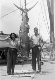 Thorvald Sanchez Next To Blue Marlin In Cuba 1930 Old Fishing Photo