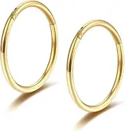 [Lantine] Gold Hinged 20g 18g 16g Nose Rings Hoops 6mm 8mm 10mm 12mm 14mm 16mm Septum Ring Clicker Cartilage Helix Hoop Earrings Set