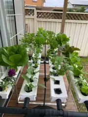 36-68 Plants 4 Channels Hydroponic Grow Tool Kit Vegetable Garden System