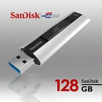 在飛比找PChome商店街優惠-【強越電腦】SanDisk Extreme PRO CZ88