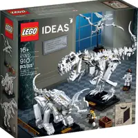 在飛比找蝦皮購物優惠-樂高 LEGO 21320 IDEA系列 恐龍化石 博物館 