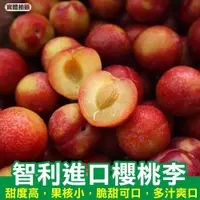 在飛比找iOPEN Mall優惠-智利進口櫻桃李/蜜李原箱2kg±10%含箱/24-26顆 0