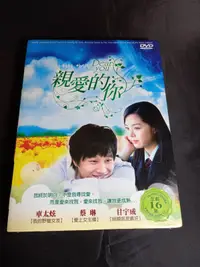 在飛比找露天拍賣優惠-經典韓劇《親愛的你》DVD (全劇16集) 車太炫(與神同行