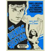 Burning Question Reefer Madness Blue Vintage Advertising Wall Art Print