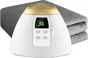 Blanket in Autumn and Winter Water Heated Mattress Pad, Water Circulation Pad Without Electromagnetic Waves, Hot Water Pad Blanket with Remote Control