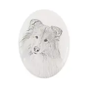 Collie Rough tombstone with a picture of a dog Art-Dog