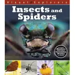 INSECTS AND SPIDERS