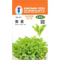 在飛比找蝦皮購物優惠-尋花趣 菊苣 Endive / Baby Leaf【貝比菜種