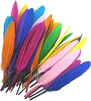 Generisch Craft Feathers Bulk - Coloured Craft Feathers | 50pcs/Set Colorful Feathers, Decorative Craft Feathers, Macaron Feathers for , Wedding, Home Decoration, Halloween Party Supplies