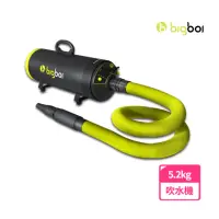 在飛比找momo購物網優惠-【bigboi】寵物乾燥吹風機 MINI PLUS+(吹水機