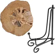 LAPYAPPE Ammonite Specimen Decoration for Table and Learning Natural Ammonite Model for Geology Enthusiasts Display with Stand Engaging Teaching Tool and Collection Decor