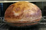 ALASKAN SOURDOUGH STARTER yeast for making big bread dried yeast ALASKAN A
