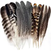 24Pcs Natural Pheasant Feathers for DIY Craft 15-22Cm Assorted Wild Turkey Feath