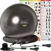 Exercise Ball Chair - 55cm / 65cm / 75cm Yoga Fitness Pilates Ball & Stability B
