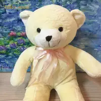 在飛比找momo購物網優惠-【TEDDY HOUSE 泰迪熊】泰迪熊玩偶公仔絨毛娃娃軟毛