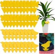 Yellow Fruit Fly Sticky Traps Indoor and Outdoor Plants, Fungus Gnat Trap Killer