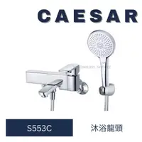 在飛比找蝦皮購物優惠-caesar 凱撒衛浴 S553C 不鏽鋼淋浴龍頭組 不鏽鋼