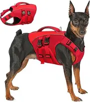 Queenmore Dog Life Jacket,Life Vest for Extra Large Dogs,Adjustable Reflective Dog Swimming Vest,Superior Buoyancy Dog Lifesaver,High Floating Pet Life Vest for Swimming(Red,XL)