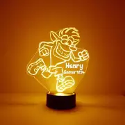 Crash Bandicoot, Personalized Free, LED Night Light Lamp with Remote Control