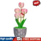 Desk Lamp Touch Control Useful Dimmable Table Flower Lamp USB Rechargeable AU