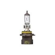 Narva Hb4 & Hb4A Halogen Globe 12 Volt 51W P22D 9006 48022BL Headlamp Light