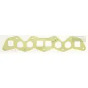 Platinum Extractor Gasket - HSM16
