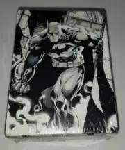 Dragon Shield Sleeves: Standard Matte Dual Art Dark Knight 100CT AT-16120