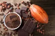 Raw Cocoa Powder 100% Original Chocolate Powder Bulk Arriba Nacional Bean 500g
