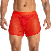 [FIROTTII] Mens Mesh Shorts Sexy Boxers See Through Boxers for Men, Micromesh Red, Large