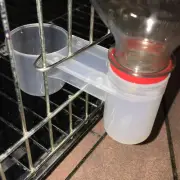 Pet Bird Plastic Drinker Feeder Water Bottle Cup cat Chicken Pig_d1