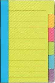 Redi-Tag Divider Sticky Notes 60 Ruled Notes, 4 x 6 Inches, Assorted Neon Colors (29500)