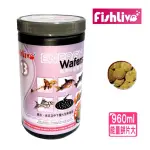 【FISHLIVE 樂樂魚】能量餅片13號 大/緩沉 960ML/底層魚主食(異形/底棲/鯰科/蝦飼料/魚飼料)