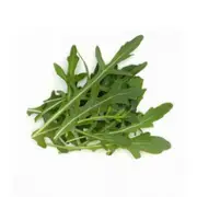 Organic Coolibah Rocket Mix, Loose – Fresh, healthy organic delivery | Doorstep Organics.