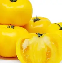 在飛比找Yahoo!奇摩拍賣優惠-黃金大蕃茄5入種子
