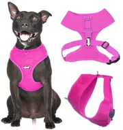 CANDY PINK - Medium Vest Harness