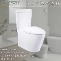 在飛比找蝦皮購物優惠-🔨 實體店面 可代客安裝 CAESAR 凱撒衛浴 二段式省水