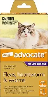 Advocate Cat, Monthly Spot-On Protection from Fleas, Heartworm & Worms, Single Pack Flea Treatment for Cats Over 4 kg, 1 Pack