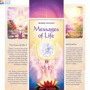MESSAGES OF LIFE DECK CARDS ESOTERIC FORTUNE TELLING BLUE ANGEL NEW