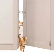 Portable Adjustable Cat Door Latch Stopper-White