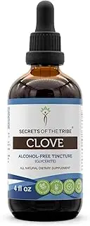 Clove Tincture Alcohol-Free Liquid Extract, Organic Clove (Syzygium Aromaticum) Dried Flower Buds (4 FL OZ)