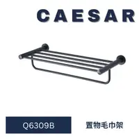 在飛比找蝦皮購物優惠-CAESAR 凱撒衛浴 Q6309B 毛巾置物架 置物毛巾架