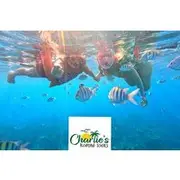 Save 5.00%! Snorkeling By Reef + West Bay Beach Break