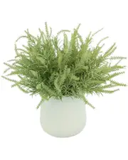 Creative Displays Green Plant Floral Arrangement