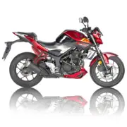 Yamaha MT-03 2016-2024 Subcage R-GAZA Stunt Passenger Pegs