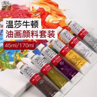 在飛比找Yahoo!奇摩拍賣優惠-熱銷 -現貨 溫莎牛頓油畫顏料36色套裝170ML/45ML