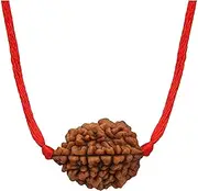 [PTM] Natural Certified 2 mukhi (Two face) Astrological Original Nepali Rudraksha Beads with lab tested certificate for men & Women., Rudraksha, Rudraksha